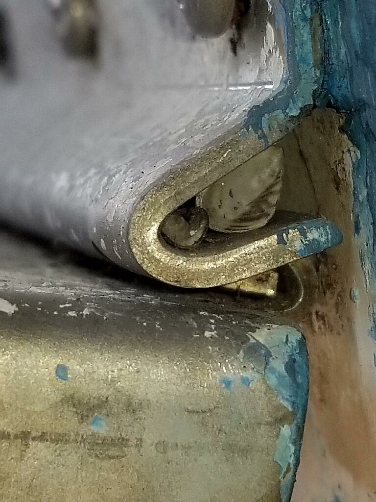 Quagga mussels discovered in a tiny fold of metal on a boat coming through Montana from St. Lawrence Seaway back east. Though no bigger than the screw heads at top of picture, if it is introduced to local waters, it would cause massive, irreparable damage to beaches, native fish, and water systems, including dams and irrigation pipes. (Lacey Burke/CSKT photo)