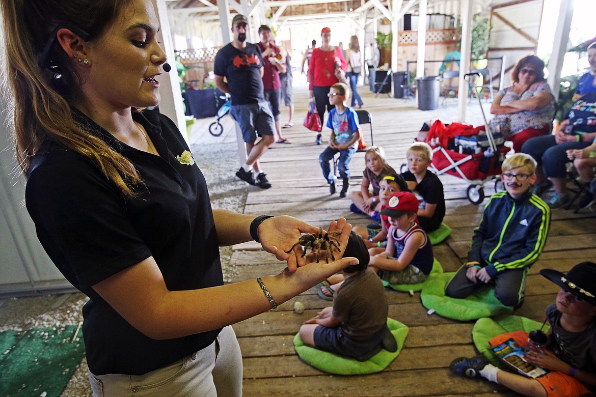 LOREN BENOIT/Press
Zookeeper and animal educator Mackenzie Briel holds an Arizona blond tarantula named Charlotte for kids to see at the Bugology 1-0-Fun exhibit at the North Idaho State Fair on Wednesday.