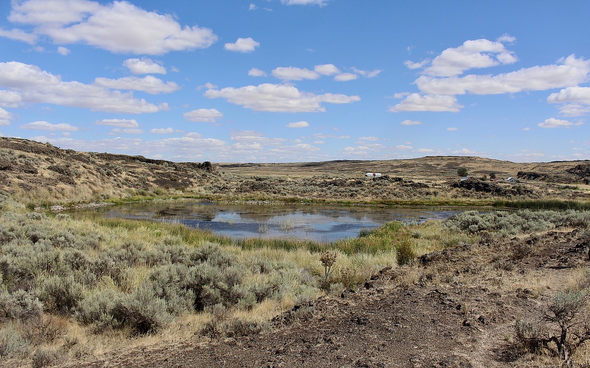 Casey McCarthy/ Columbia Basin Herald There are a number of small lakes and bodies of water scattered around the Odessa Craters Trail.