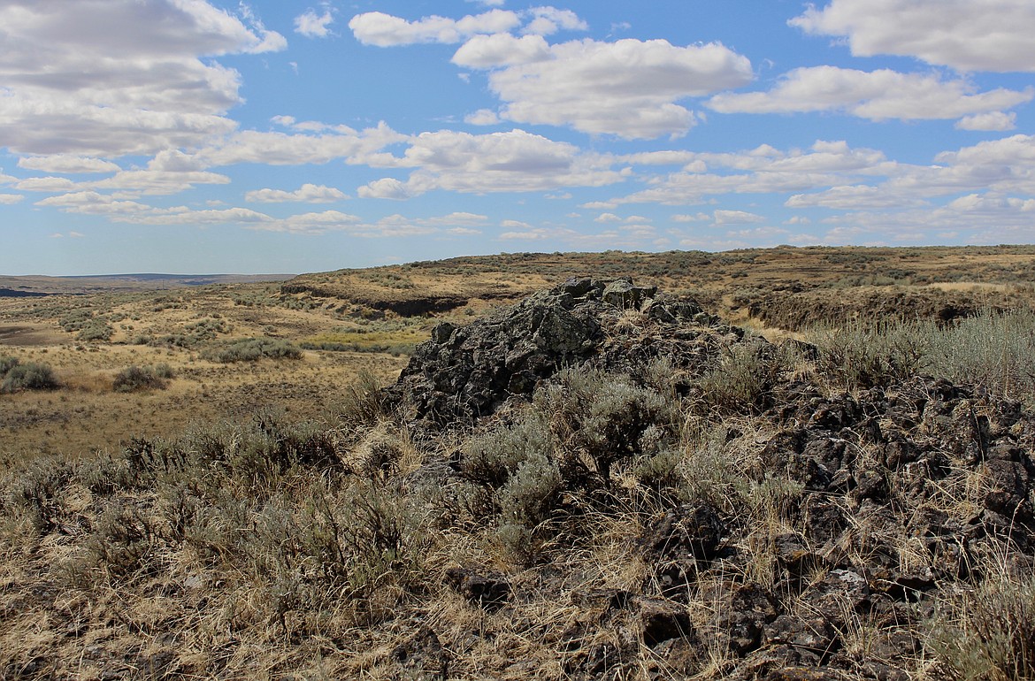 Casey McCarthy/ Columbia Basin Herald Reaching a highest point of around 1,700 feet, the trek around the looped Odessa Craters Trail provides a chance to witness the region&#146;s geological history, as well as the landscape that exists today.