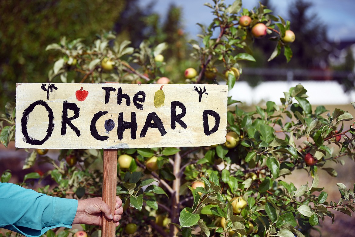 Shari Johnson holds up the sign painted by children for the orchard section of the Wildcat Garden on Aug. 22, at Columbia Falls Junior High. (Brenda Ahearn photos/Daily Inter Lake)
