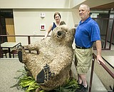 A Bear of a Project