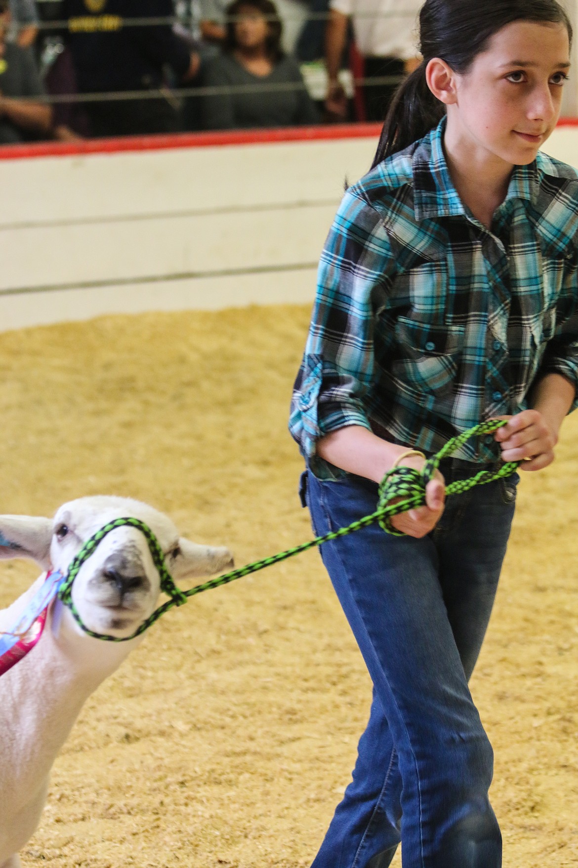 Photo by MANDI BATEMANPhoebe lang with her lamb entry.