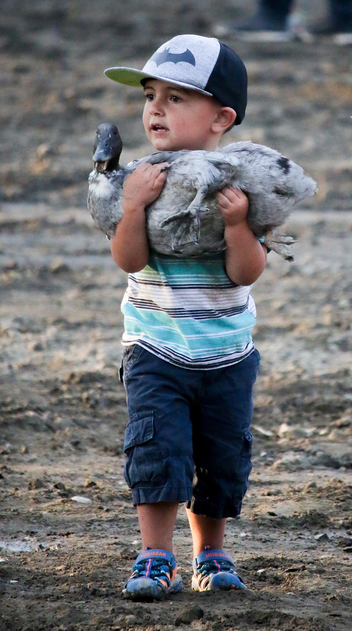 Photo by MANDI BATEMANThe three to five year old children got to chase and catch ducks.