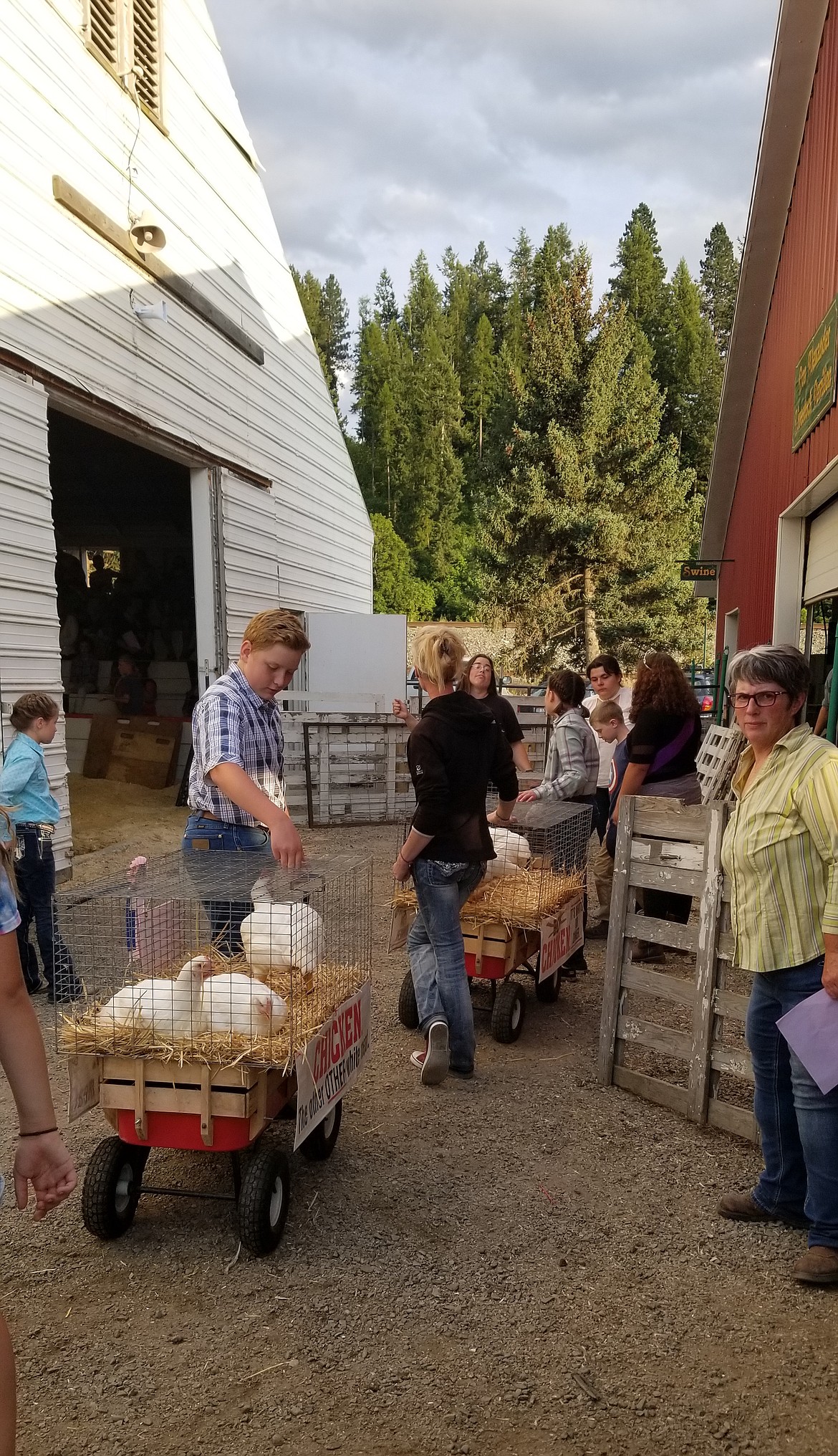 Photo by MANDI BATEMANWagons carrying chickens to show off.