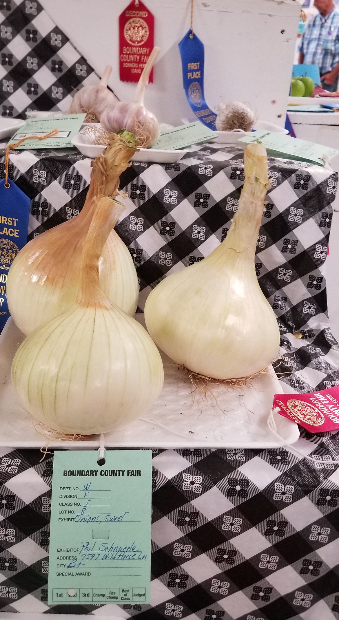 Photo by MANDI BATEMANThese large onions and garlic were prize winners.