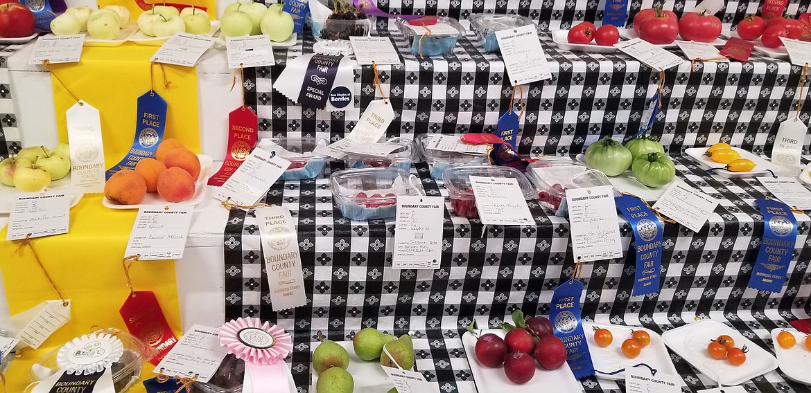 Photo by MANDI BATEMANThere were lots of fruits and veggies entered in the fair.