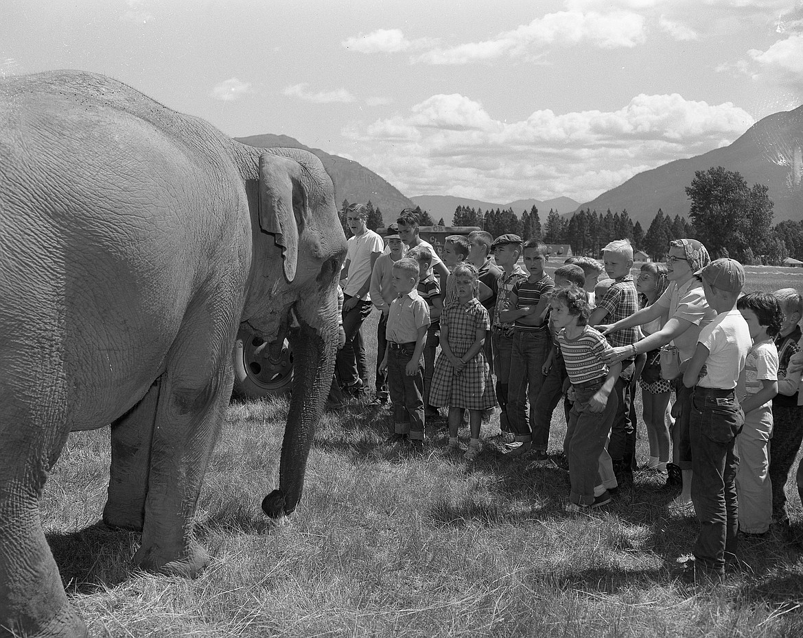 No headline Hungry Horse News