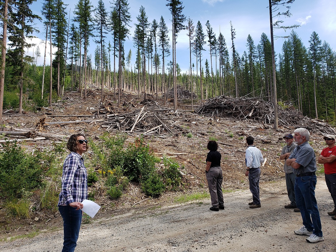 (Courtesy Photo)
Forest cleanup was a main topic.