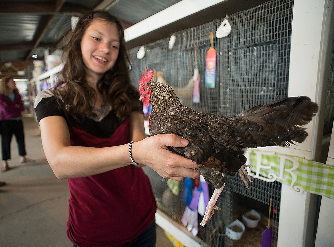 Mirrer Bain of Coram shows off her sister Lux's prize rooster at the fair last week. The rooster won the crowing contest.