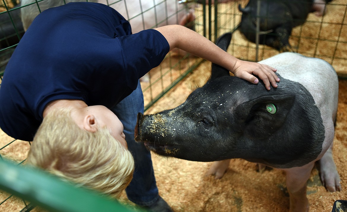 Lander Heino, 10, cares for his pig, Scorpion, on Tuesday, August 13, at the Northwest Montana Fair in Kalispell.(Brenda Ahearn/Daily Inter Lake)
