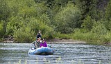 FWP eyes hook restrictions on upper Flathead River sections