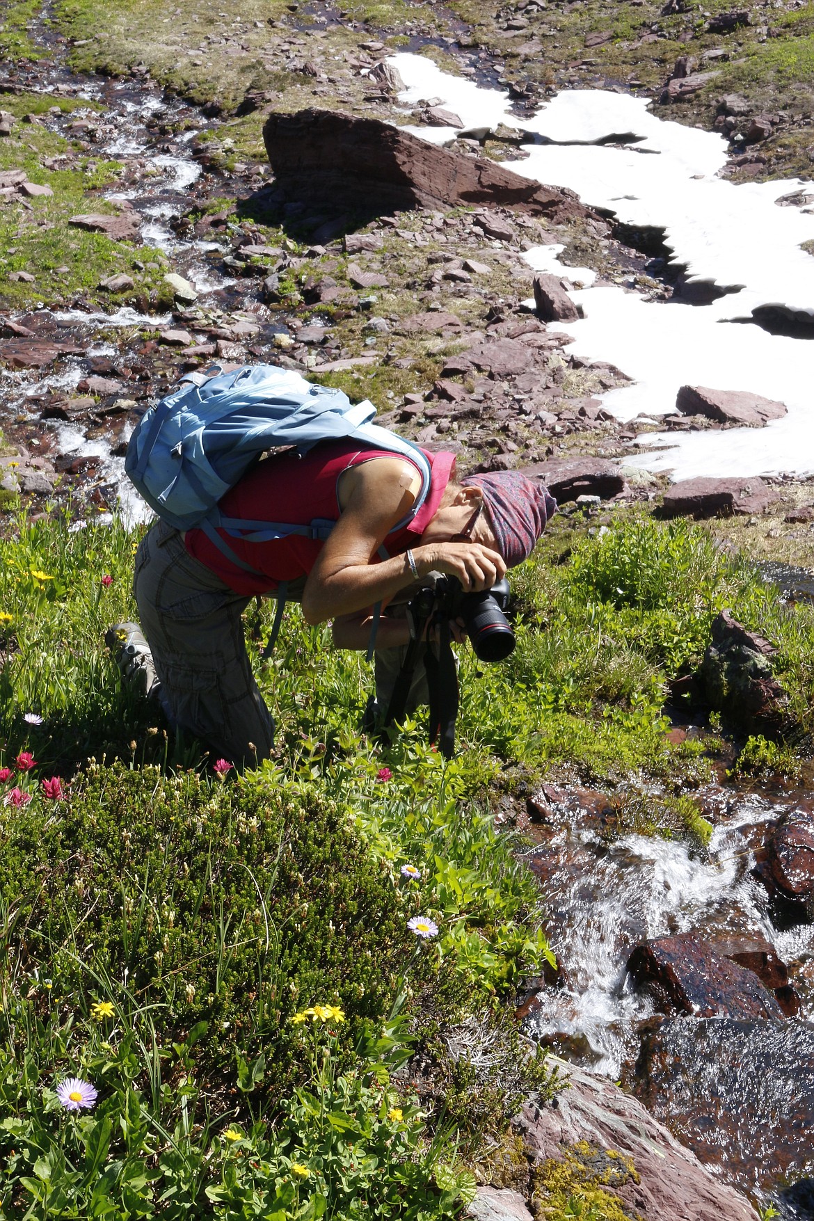 Photographer Rosella Mosteller captures an image on the Swan side of the Mission Mountains. - Photo credit Peter Lesica