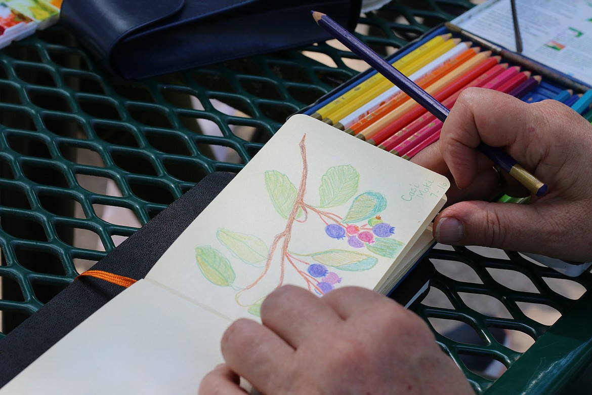 Photo by MANDI BATEMAN
Debbie Aaron takes a small sketchbook along with her.