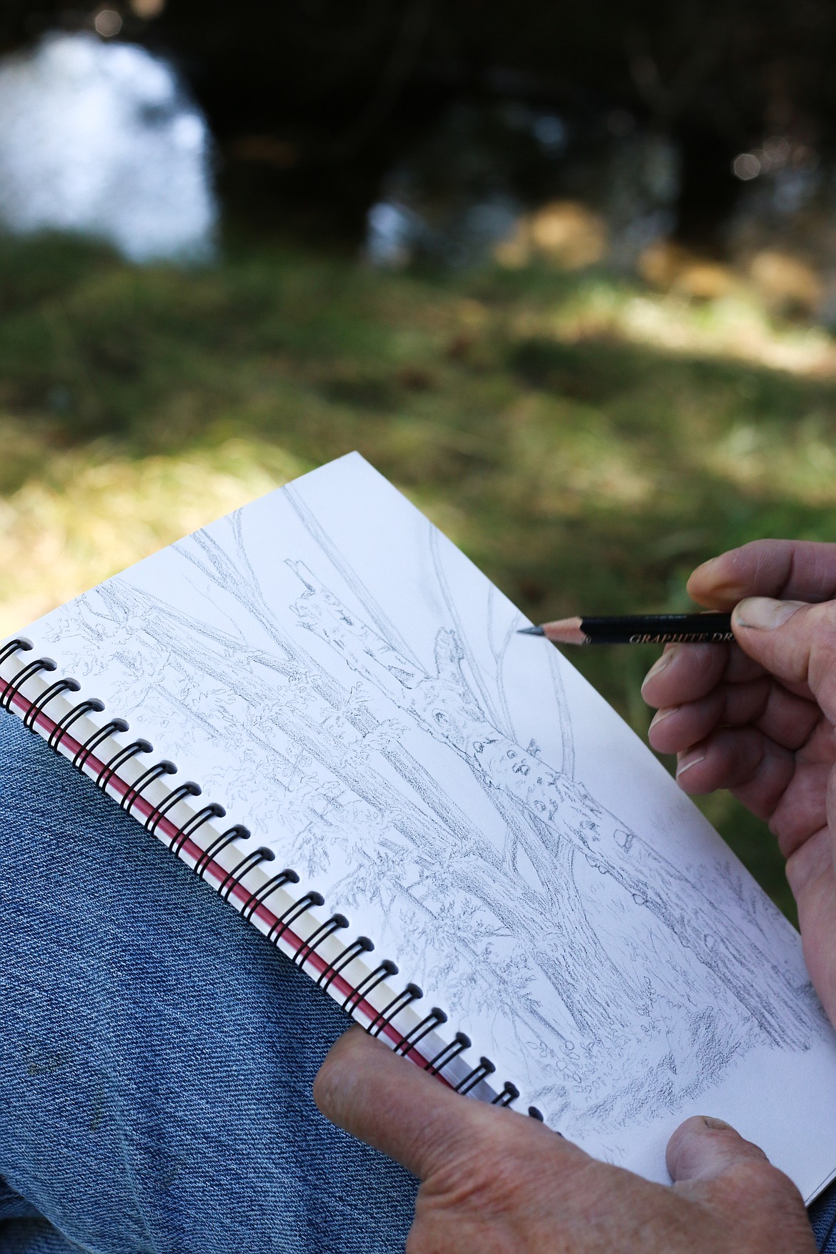 Photo by MANDI BATEMAN
The wildlife refuge offers plenty of things for an artist to draw, like this sketch of a stump by Vicki Bleile.