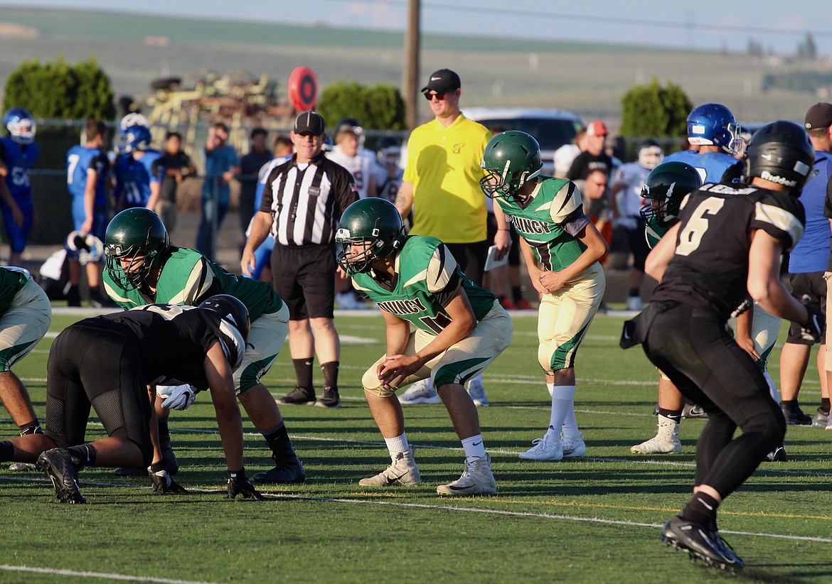 Casey McCarthy/Sun Tribune
The Quincy High School quarterback surveys the field before hiking the ball against Royal at the Royal Football Jamboree Friday evening in Royal City.