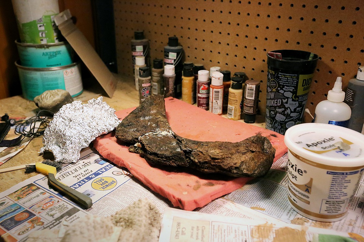 A fossil is pictured in the preparation process at NorthWest Montana Fossils in Whitefish. (Mackenzie Reiss/Daily Inter Lake)