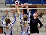 Volleyball Kats improve to 4-0