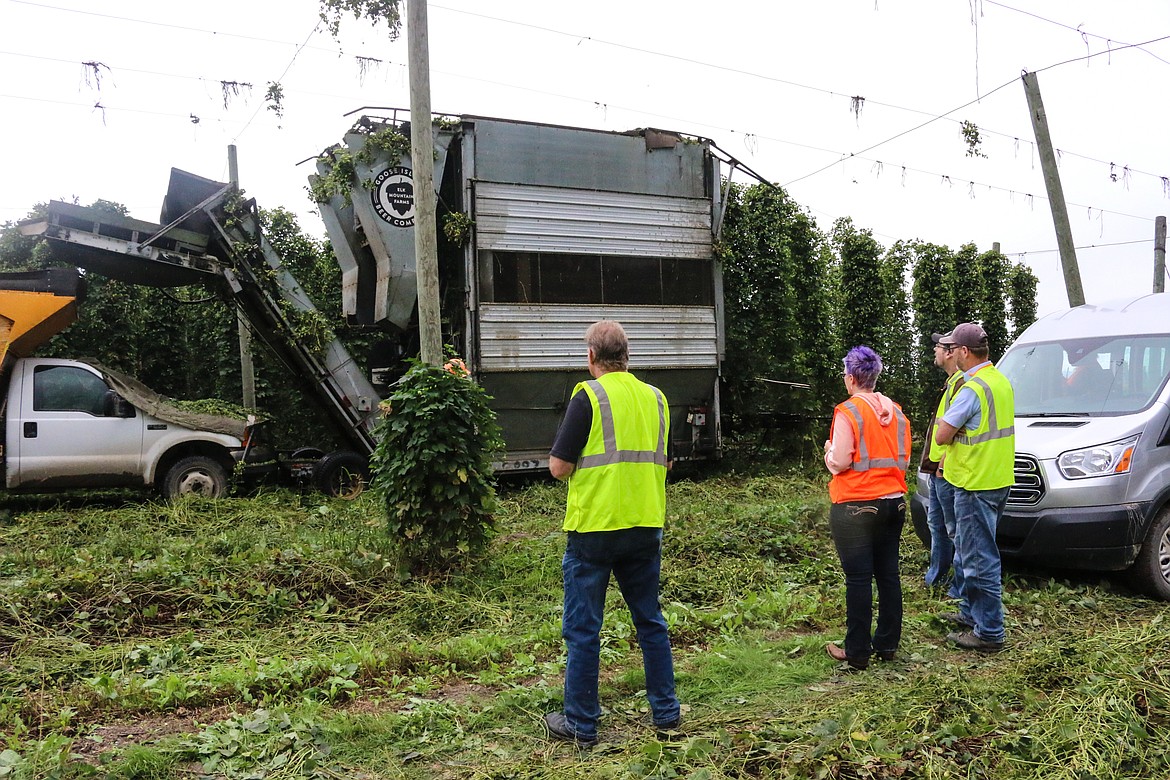 Photo by MANDI BATEMAN
There are only about 30 of these custom hops harvesting machines in the world.