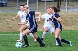 Girls soccer tops Priest River