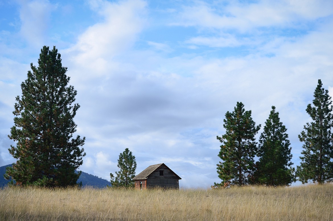 The Johnson Homestead on Wild Horse Island on Thursday, Sept. 19. (Casey Kreider/Daily Inter Lake)