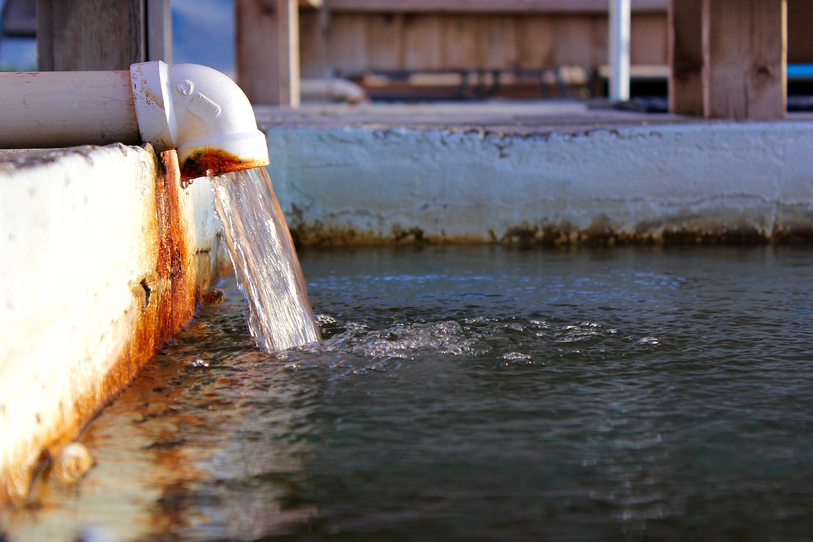 The waters that feed the plunge pools at Wild Horse Hot Springs are rich in lithium, sulfur and dozens of other minerals that promote healing.