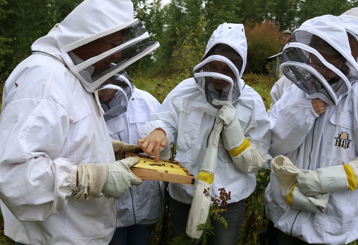 (Photo by MARY MALONE)
Lake Pend Oreille High School students get a taste of honey from one of the hives they have been raising this year, as their teacher, Randy Wilhelm, left, aims to give the teens some hands-on beekeeping experience.