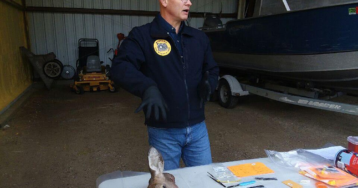 Free clinics in Libby, Kalispell to teach hunters how to collect CWD samples Western News