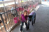 Three-year-old lets brother show, sell lamb at Othello Fair