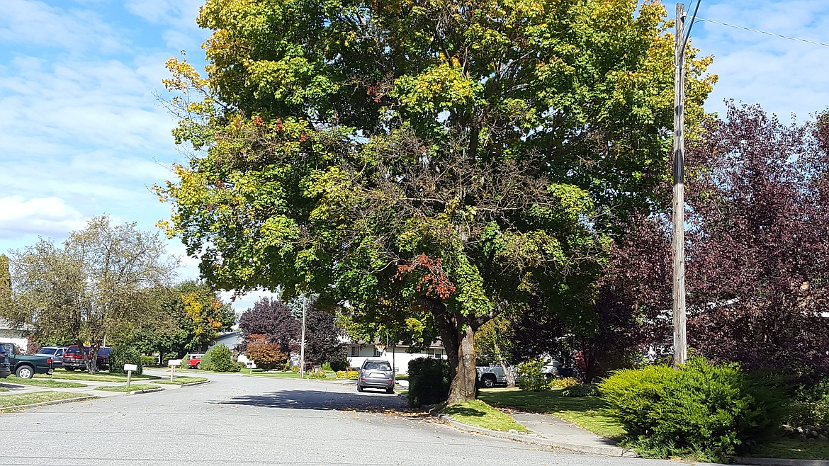 A neighborhood near Best Avenue, centrally located in Coeur d&#146;Alene.