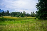 Council OKs homes, but not cabins, in development east of river