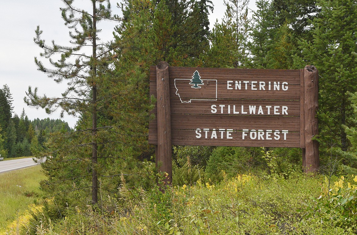 A sign announces entry into the Stillwater State Forest along U.S. Highway 93 west nearly Olney. The Stillwater State Forest main block of forestland includes about 106,500 acres. In total land managers for the Stillwater, oversee about 131,900 acres of forest and an additional 1,200 acres of non-forestland. (Heidi Desch/Whitefish Pilot)