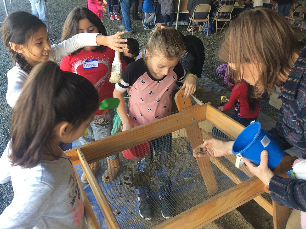 Grant PUD/Courtesy photo
Students &#147;dig&#148; for artifacts and examine their findings during Archaeology Days at the Wanapum Heritage Center.