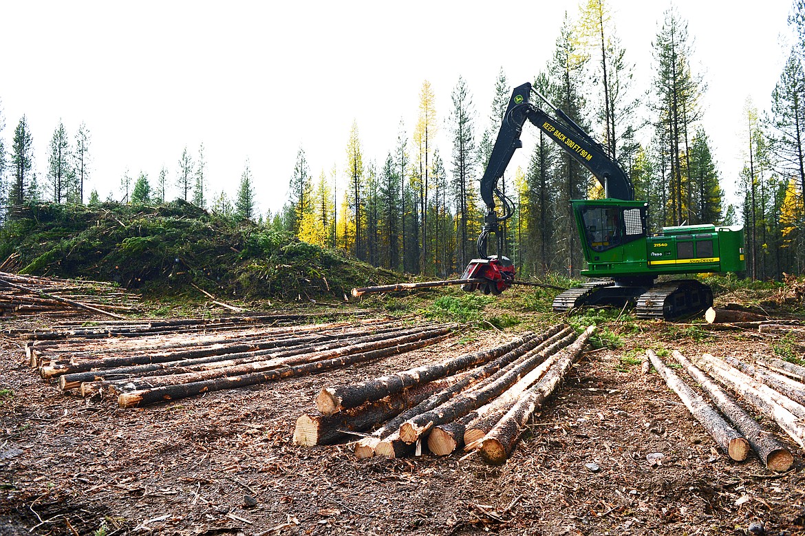 A John Deere 2154D with a Waratah dangle head processor delimbs logs during the Flathead Timber Tour at the Liger Timber Sale in Flathead National Forest on Thursday, Oct. 17. (Casey Kreider/Daily Inter Lake)