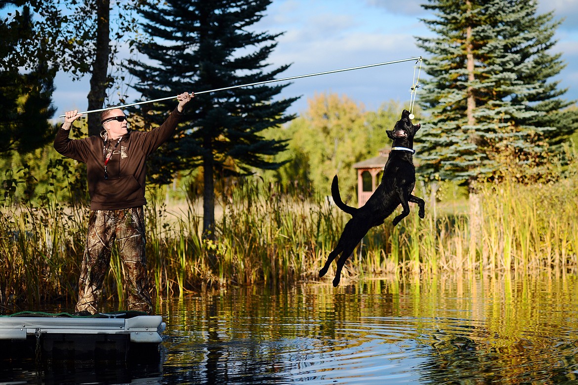 Bill Helfer and Charger, an 18-month-old black Lab, train for the DockDogs Extreme Vertical event during a practice session in the Lower Valley on Thursday, Oct. 10. (Casey Kreider/Daily Inter Lake)