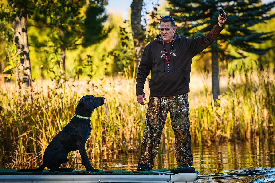 Trooper, an 18-month-old black Lab, awaits the command of Bill Helfer during a DockDogs practice session in the Lower Valley on Thursday, Oct. 10. (Casey Kreider/Daily Inter Lake)