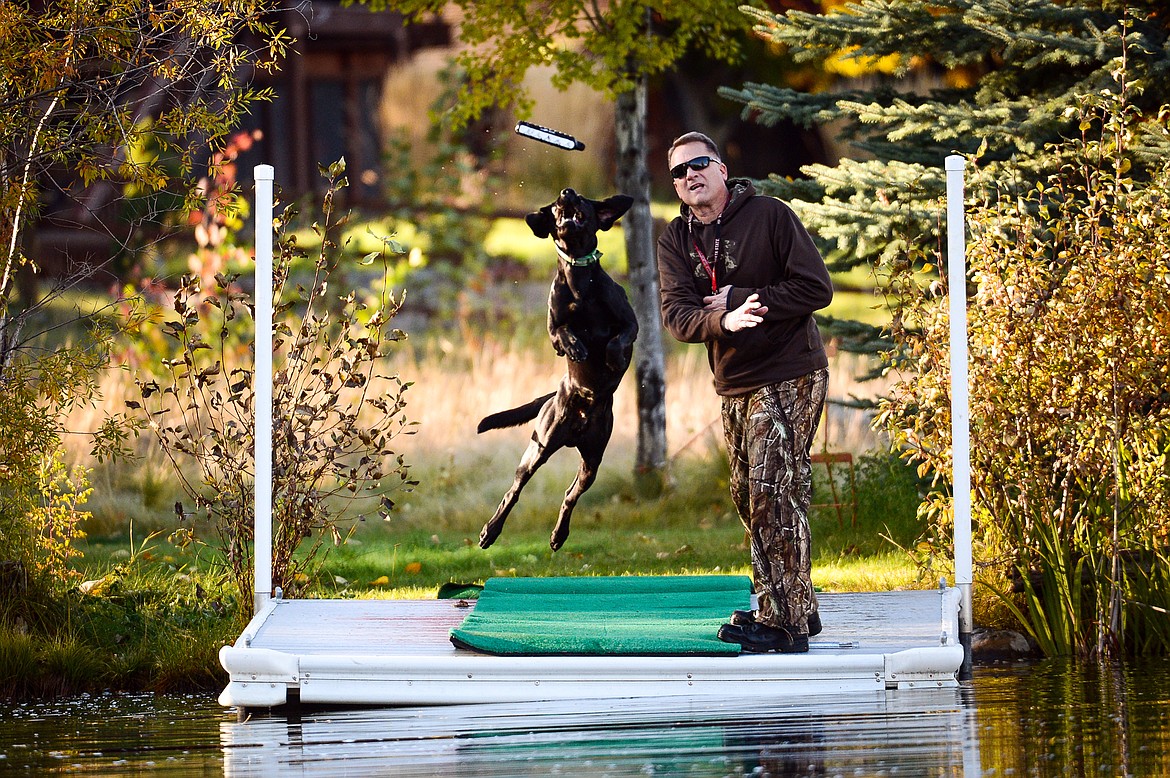 Trooper, an 18-month-old black Labrador retriever, catches a toy thrown by Bill Helfer during a DockDogs practice session in the Lower Valley on Oct. 10.