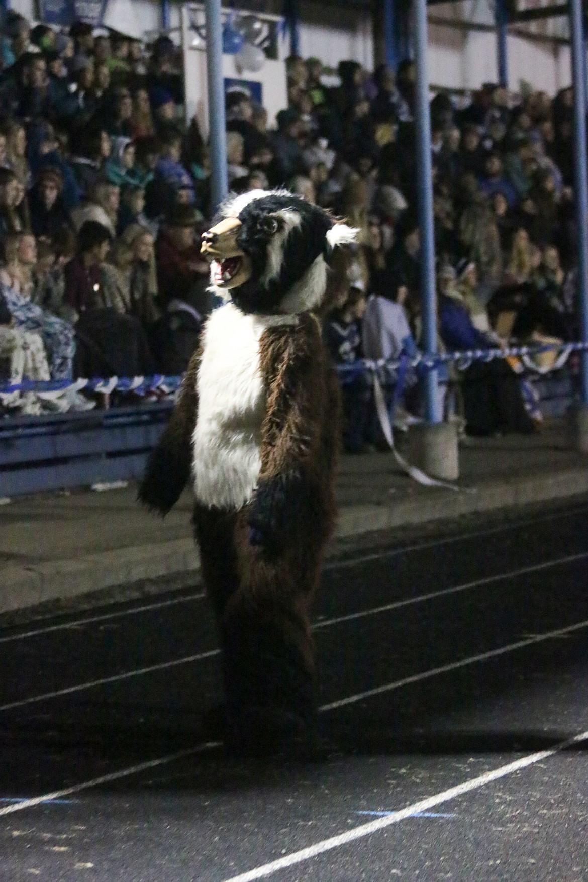 Photo by MANDI BATEMAN
Scenes from the 2019 BFHS Homecoming parade and football game.