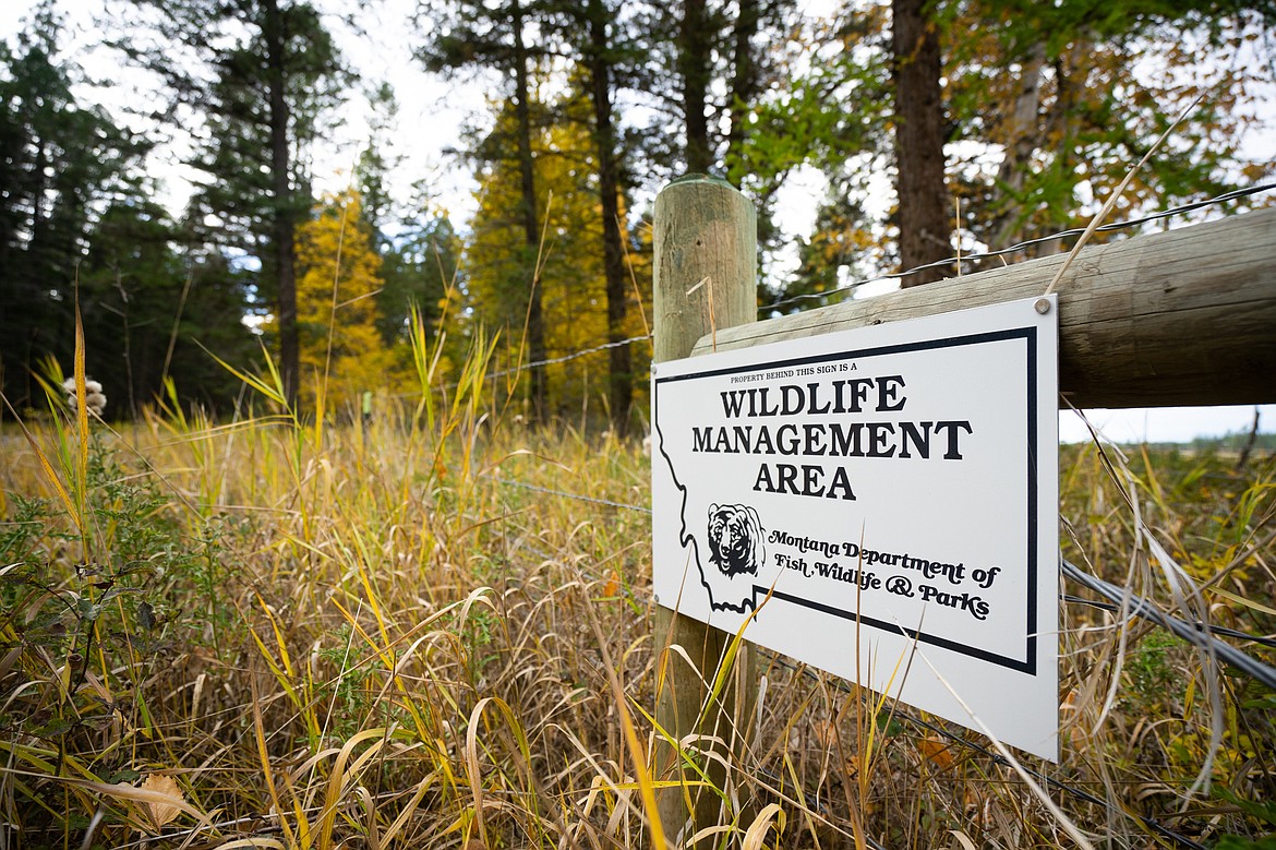 Montana Fish, Wildlife and Parks is opening a swath of the Ray Kuhns Wildlife Management Area up to farming in the hopes of improving soil and animal habitat in the area. (Daniel McKay/Whitefish Pilot)