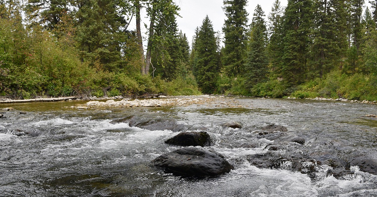 Whitefish considers job focused on climate change, sustainability - Daily Inter Lake