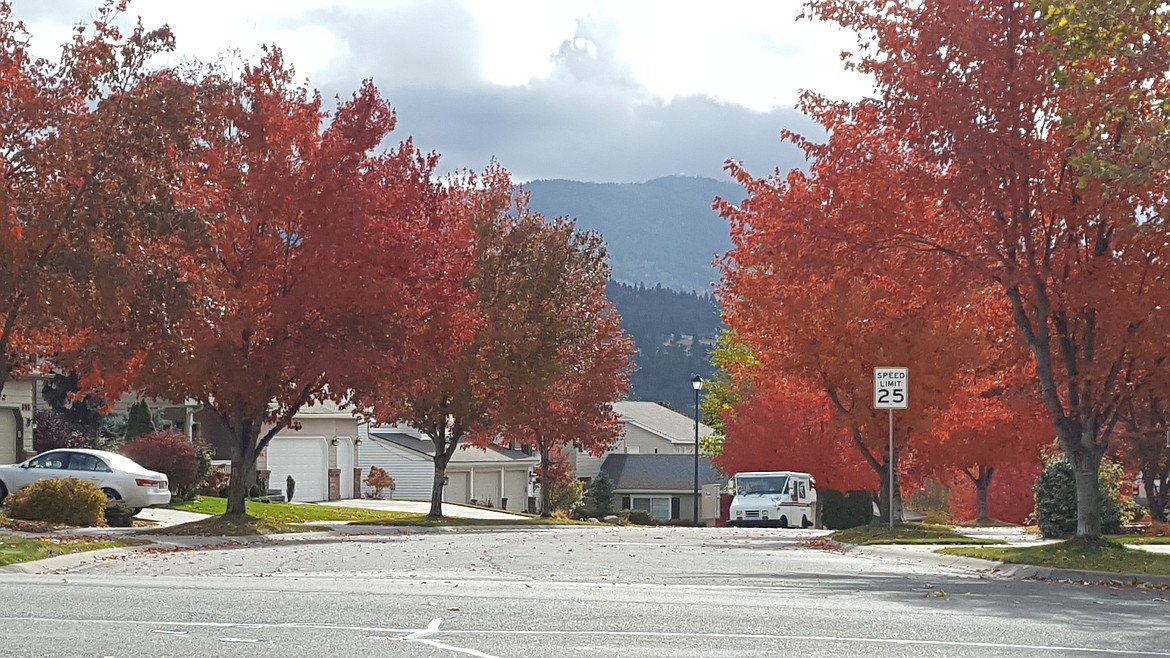 Photo by TYLER WILSON
Fall colors are in full force in neighborhoods around the Inland Northwest.