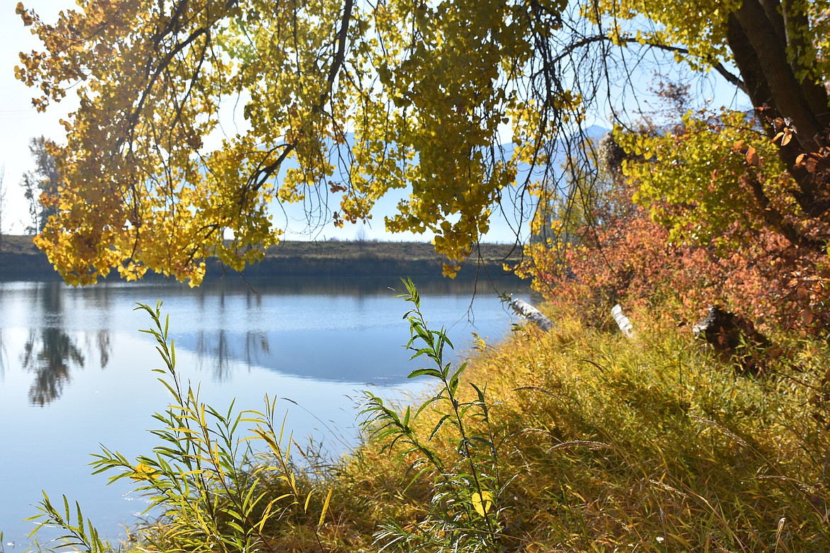 Photos by DON BARTLING
Reflections of fall in north Boundary County. This photo shows Kootenai River at the east edge of Boundary Creek/Smith Creek Wildlife Refuge, looking south.