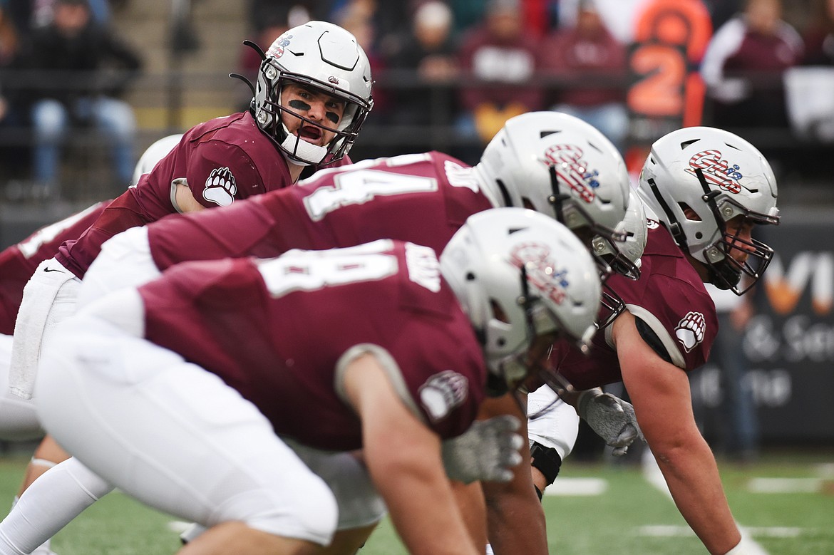 Montana quarterback Dalton Sneed (11) calls out the pre-snap cadence against Idaho at Washington-Grizzly Stadium on Saturday. (Casey Kreider/Daily Inter Lake)