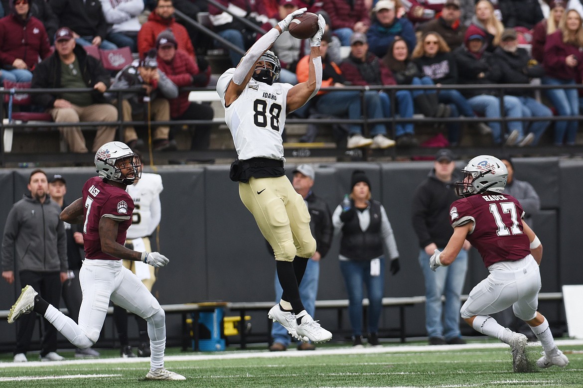 Idaho wide receiver Jeff Cotton (88) pulls in a first-quarter reception against Montana at Washington-Grizzly Stadium on Saturday. (Casey Kreider/Daily Inter Lake)