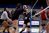 Wildkat spikers complete perfect district run