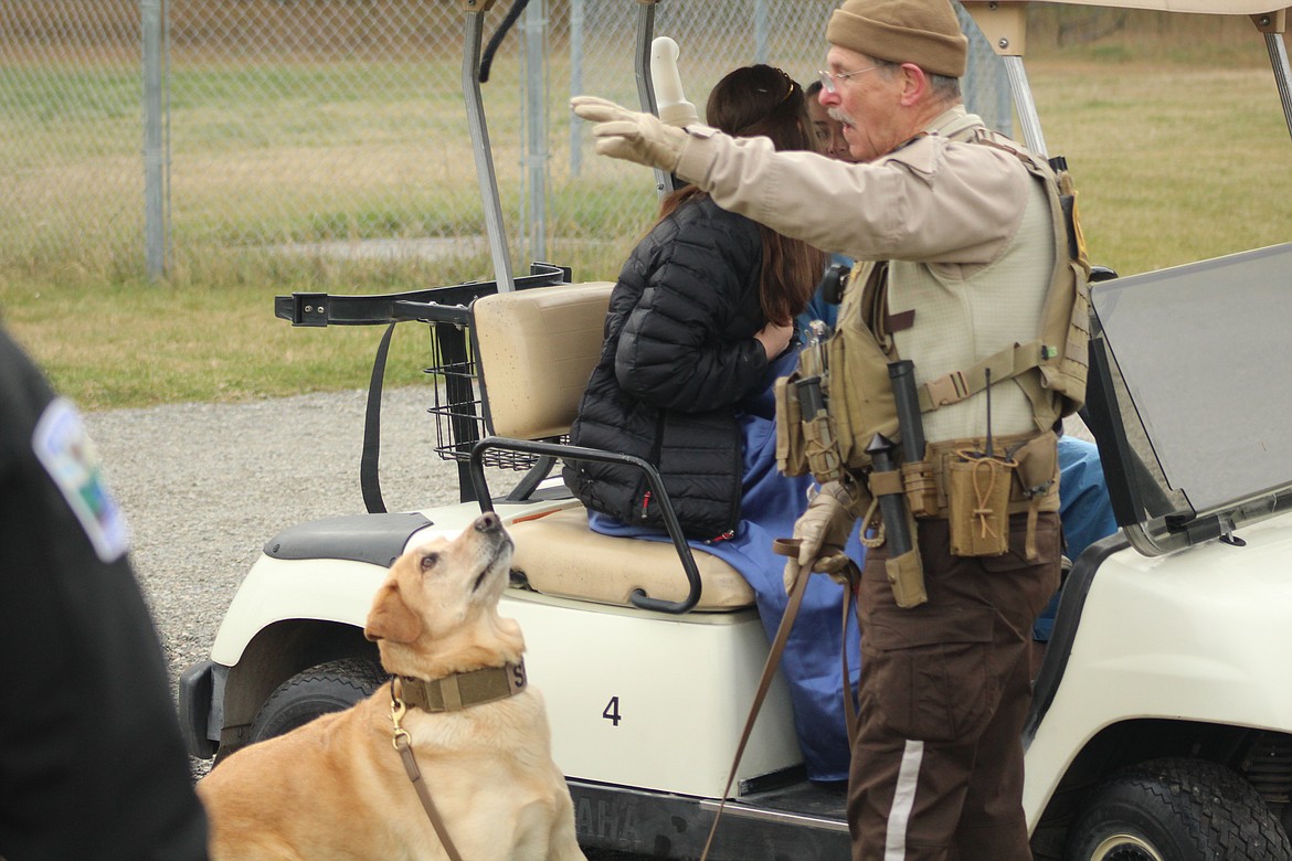 MAX THE drug sniffing dog, with his trainer Deputy Lanzoni, performing a simulated drug search of the golf carts, last Thursday afternoon for the Thompson Falls High alcohol and drug awareness day. (John Dowd/ Clark Fork Valley Press)