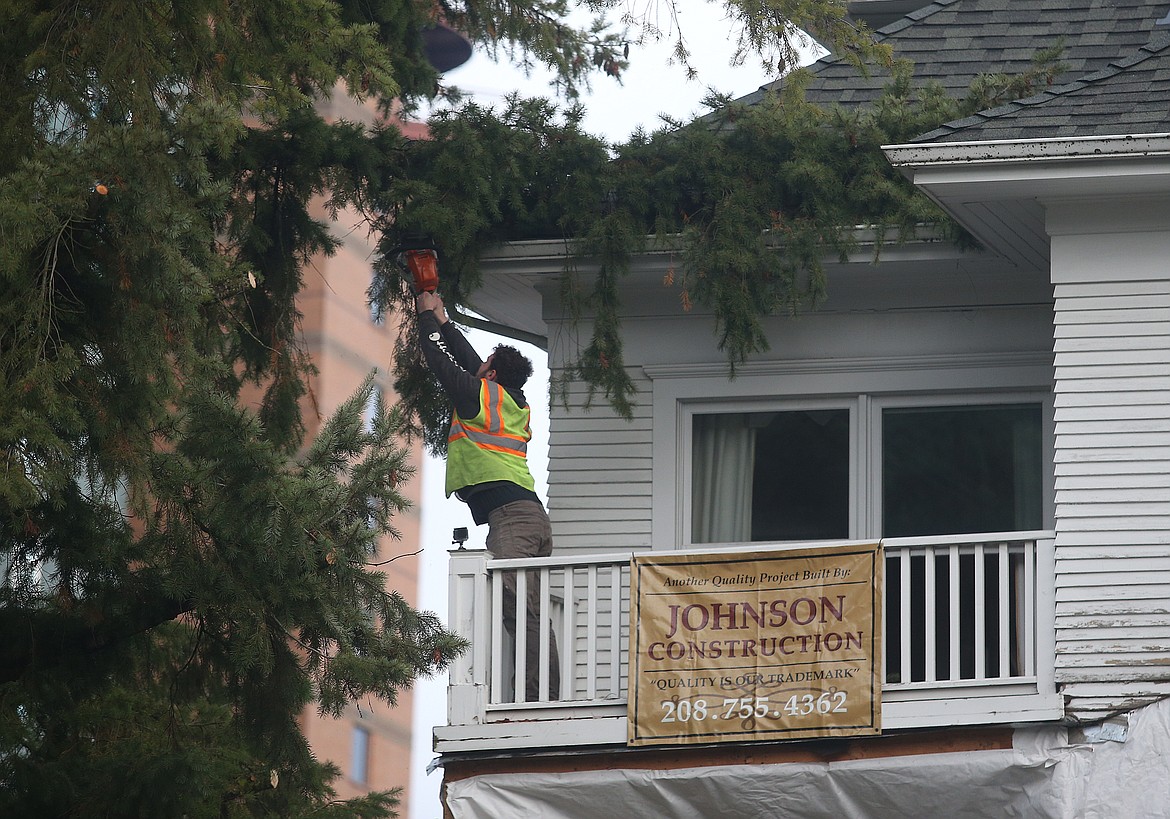 A few tree branches were cut to clear the path. (LOREN BENOIT/Press)