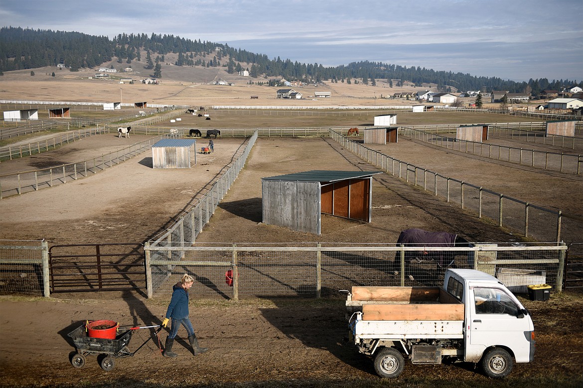 Ireland Root, an employee at Triple Take Arena Boarding &amp; Event Center, tends to the horses on Friday, Nov. 8. (Casey Kreider/Daily Inter Lake)