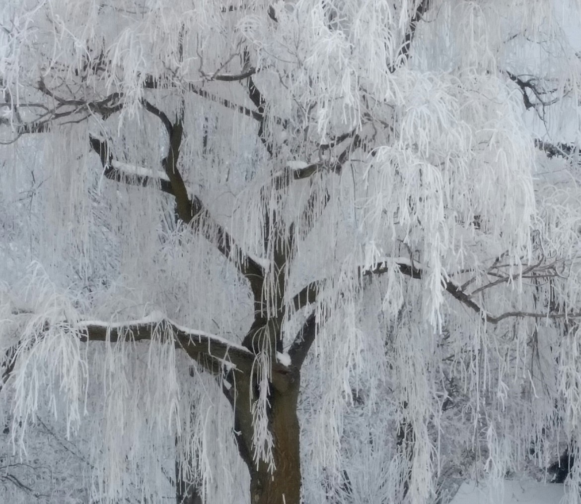 IRWIN STEIGER/Courtesy
Physician/photographer Dr. Irwin Steiger of Coeur d&#146;Alene captured this chilling but gorgeous moment last winter. It might be a portent of what&#146;s headed our way.