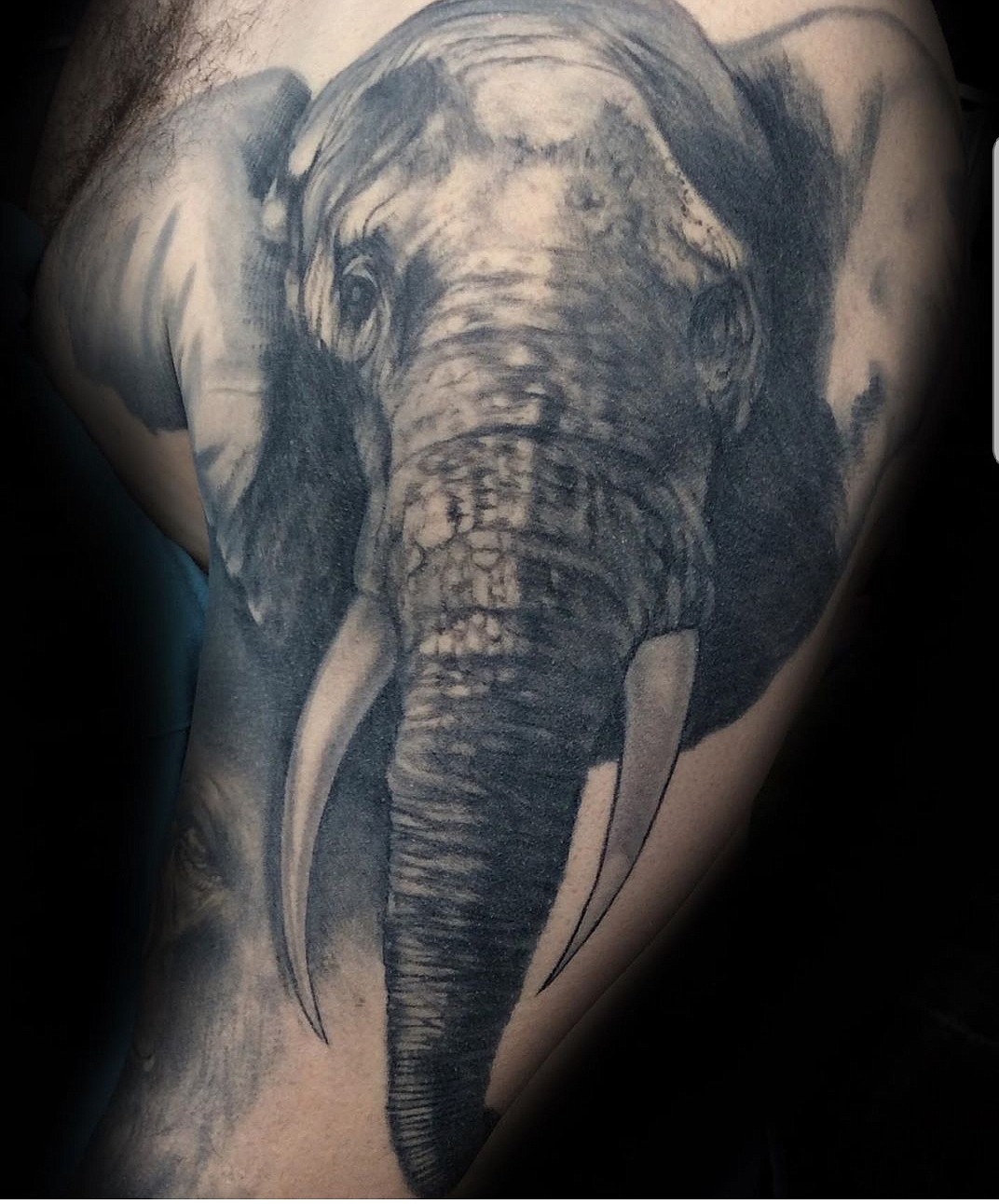 Courtesy photo
Realism by Huff: an elephant portraiture adorns a client&#146;s shoulder extending down onto his arm.